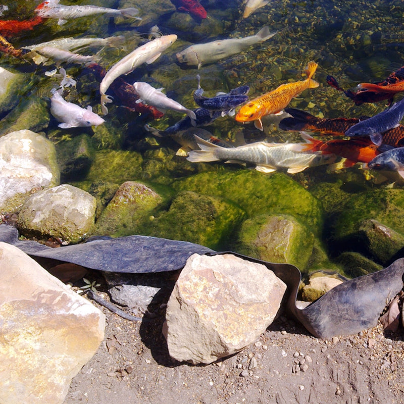 HYDROPONIC DEPOT Pond Liner, HDPE, 11.8-Mil Durable Pond Skins for Water Gardens, Fish Ponds, Black Waterfall