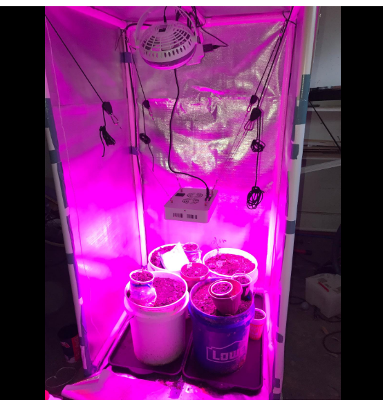 diamond mylar grow tent HYDROPONIC DEPOT Diamond Mylar Film Roll 6 Mil – Hardware Factory Store