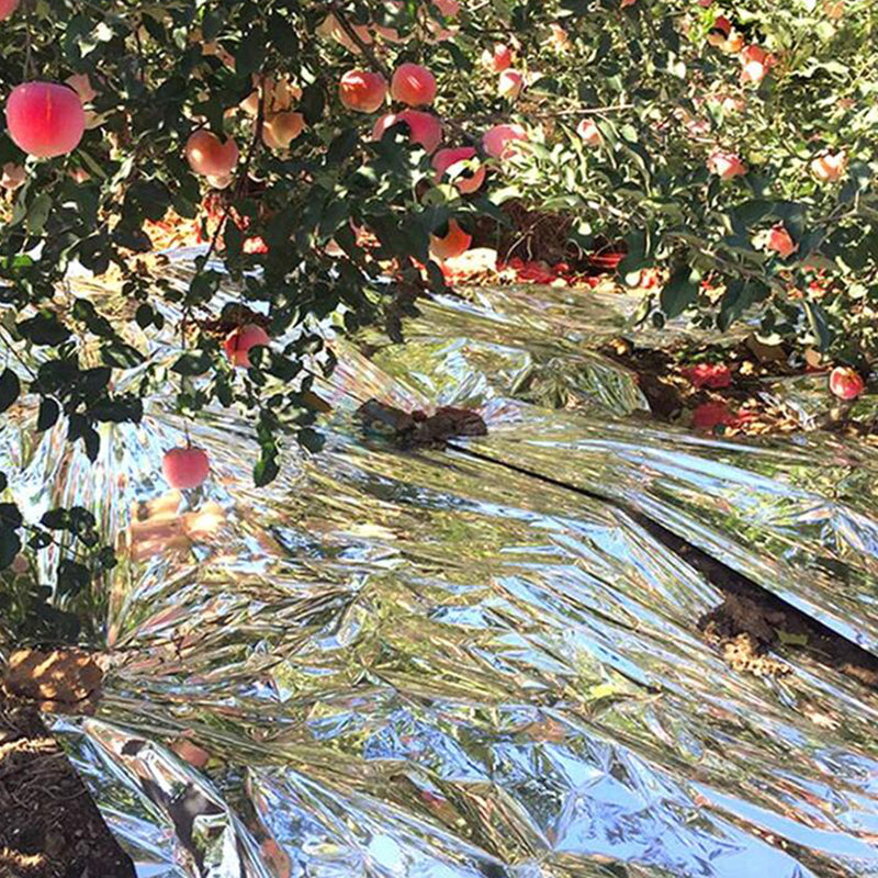 HYDROPONIC DEPOT Horticulture Highly Reflective Mylar Film Roll 2 Mil